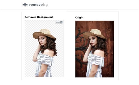 Free HD Image Background Remover .